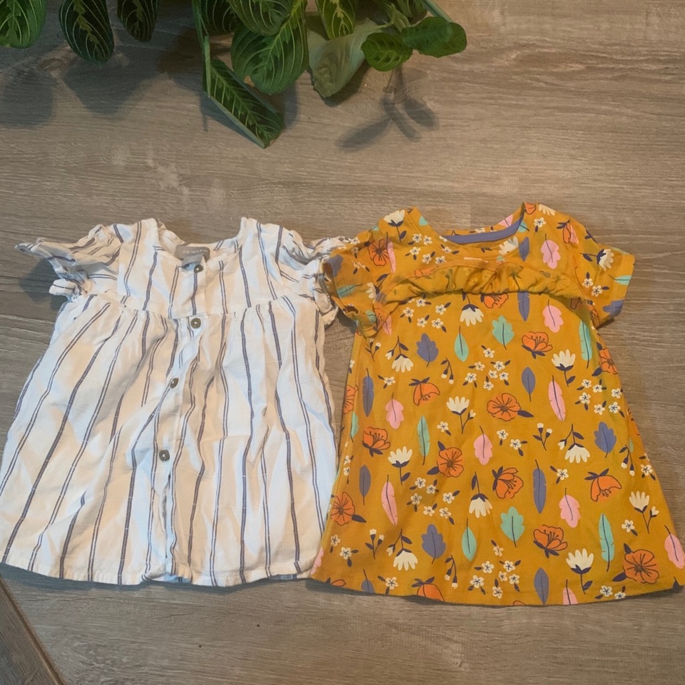 Girls Tops 2T bundle